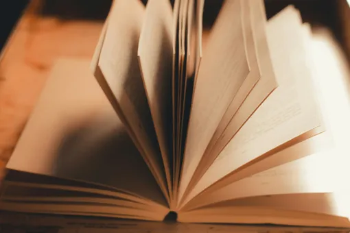 Раскрытая книга