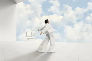 Цвет 2026 года от Pantone: почему критикуют белый Cloud Dancer?