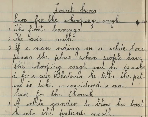 Архив ирландских школьников Архив ирландских школьников, список