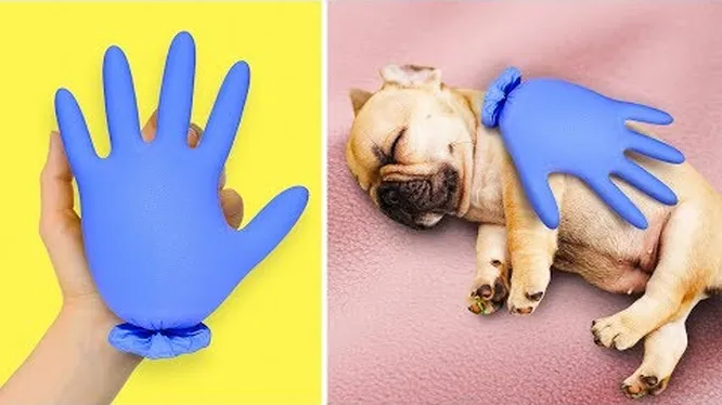 Нажми и смотри Нажми и смотри