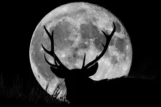 Сколько лун поместиться на небе и как это связано с нашей планетой?