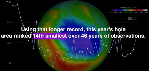 График показывает изменение размеров озоновой дыры с 1979 по 2025 год. Кадр из видео NASA. График показывает изменение размеров озоновой дыры с 1979 по 2025 год. Кадр из видео NASA.
