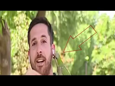 Нажми и смотри Нажми и смотри