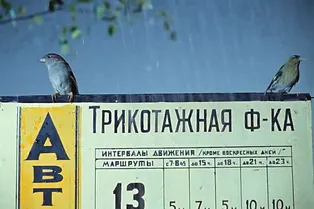 Задание со звездочкой: угадайте советский фильм всего по одному кадру