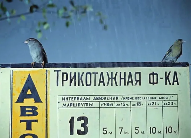 Из какого фильма этот кадр?