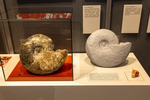 Московский планетарий