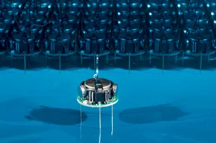 Технология блокчейн делает управление роем роботов безопасным Технология блокчейн делает управление роем роботов безопасным