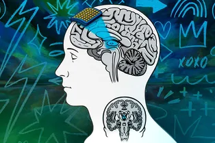 Новый ультразвуковой инструмент может рассказать нам, как работает сознание