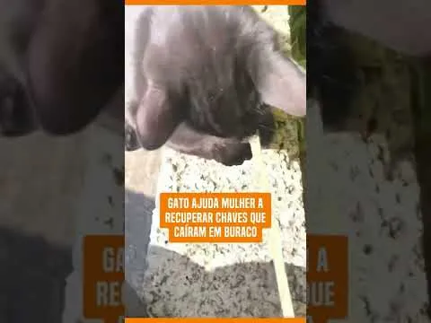 Нажми и смотри