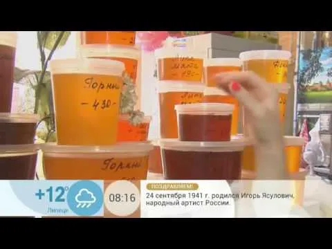 Нажми и смотри Нажми и смотри