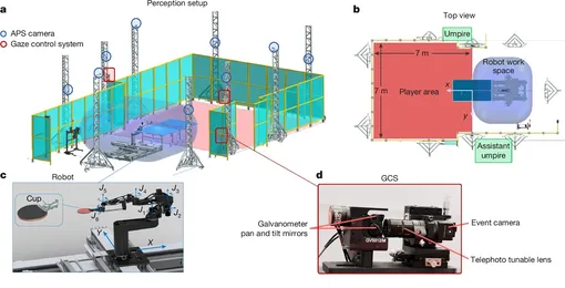 Настройка системы Ace. а) На башнях установлены девять камер APS и три системы управления взглядом (GCS), которые обеспечивают полный обзор всего корта олимпийского размера снаружи игровой зоны. b) Игроку разрешается играть на половине корта, при этом ему запрещено входить на сторону корта, занятую роботами, из соображений безопасности. Два лицензированных судьи судят матч с обеих сторон стола. c. Аппаратное обеспечение робота включает два призматических и шесть вращательных шарниров, а также манипулятор, оснащенный ракеткой и чашкой для удержания мяча, что облегчает подачу одной рукой. d. Система GCS состоит из камеры для съемки событий, телеобъектива с переменным фокусным расстоянием и зеркал панорамирования и наклона с гальванометрическим приводом.