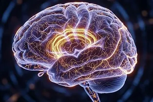 Ученые выяснили, как мозг строит картину единой реальности