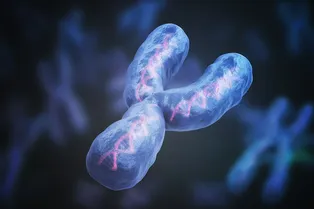 Что делает мужчин мужчинами? Генетики расшифровали генетический код Y-хромосомы Что делает мужчин мужчинами? Генетики расшифровали генетический код Y-хромосомы