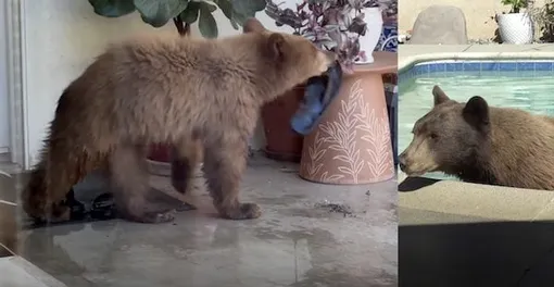 Это был очень жаркий и трудный день! Это был очень жаркий и трудный день!