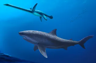 В Австралии нашли останки хищника, правившего океаном 115 миллионов лет назад