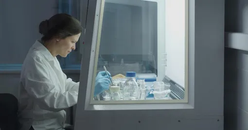 «Чистая красная линия»