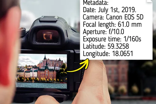Гайд для начинающих фотографов: как определить, где и когда был сделан снимок