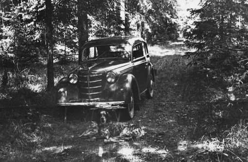 москвич михаила пришвина москвич михаила пришвина