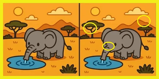 Ответ на головоломку