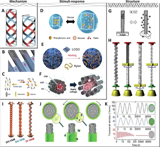 Механизм приведения в действие искусственной мышцы волоконного типа и характеристики скручивающего привода. Механизм приведения в действие искусственной мышцы волоконного типа и характеристики скручивающего привода.