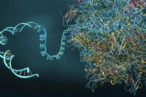 Генетики разработали инструмент, способный исправить сразу несколько поломок ДНК Генетики разработали инструмент, способный исправить сразу несколько поломок ДНК