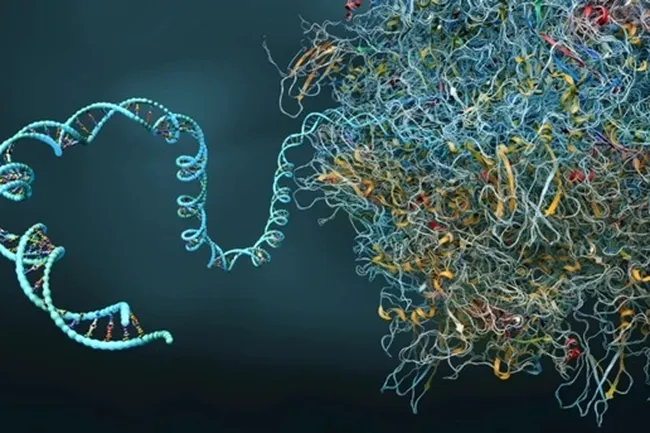 Генетики разработали инструмент, способный исправить сразу несколько поломок ДНК