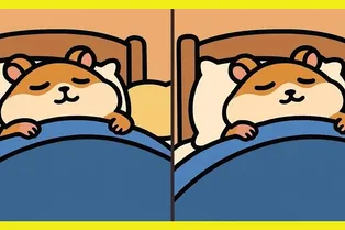 Милейший тест на внимательность: найдите отличия между спящими хомячками