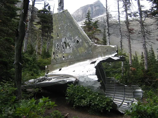 DC-3 wreckage in a forest DC-3 wreckage in a forest