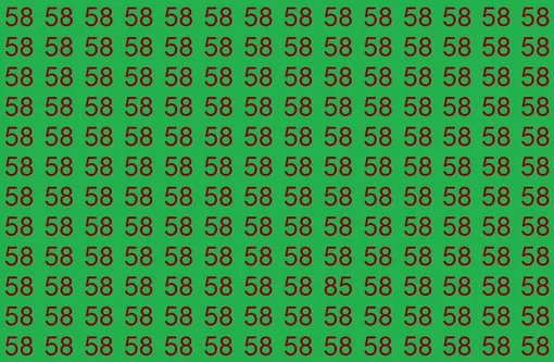 Найдите число 85 за отведенное время Найдите число 85 за отведенное время