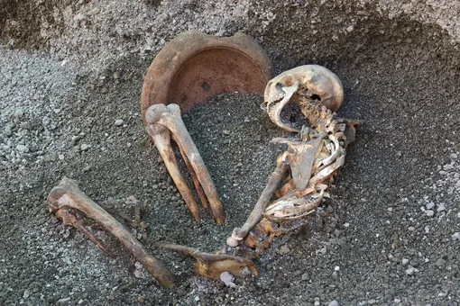 Скелет с терракотовой ступкой