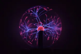 Удалось вырастить минимозг из клеток человека без использования животных компонентов Удалось вырастить минимозг из клеток человека без использования животных компонентов