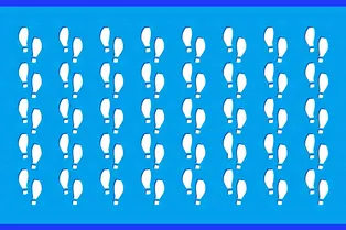 Испытайте свою внимательность: найдите лишние следы на картинке за 7 секунд