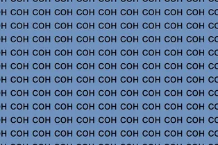 Картинка-головоломка: найдите слово «сан» за 7 секунд