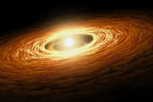 В Солнечной системе могла взорваться сверхновая. Как же она тогда выжила? В Солнечной системе могла взорваться сверхновая. Как же она тогда выжила?