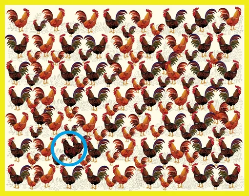 Ответ на визуальную головоломку