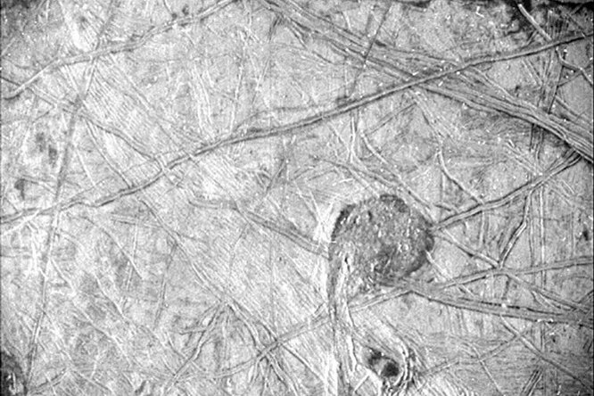 Российские астрономы открыли крупный астероид. Главные научные новости недели