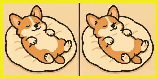 Найдите 3 отличия