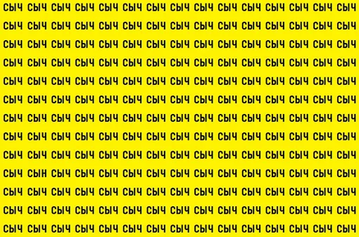 Найдите слово «сын» Найдите слово «сын»