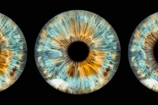 Ученые только что выяснили, почему на самом деле меняется размер ваших зрачков Ученые только что выяснили, почему на самом деле меняется размер ваших зрачков
