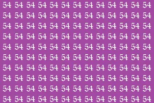 Готовы проверить свою зоркость? Найдите на картинке число 45
