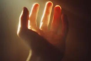 Анатомия в наследство: 5 особенностей нашего тела, доставшихся человеку от невообразимо далеких предков Анатомия в наследство: 5 особенностей нашего тела, доставшихся человеку от невообразимо далеких предков