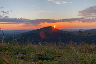 По следам динозавров: маршрут, который заменит музей