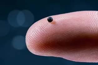 Микророботы проплывают по венам и растворяются после доставки лекарства