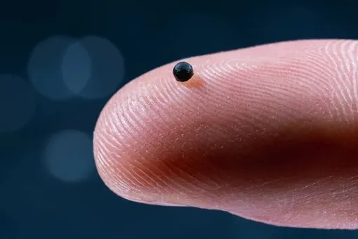 Микророботы проплывают по венам и растворяются после доставки лекарства