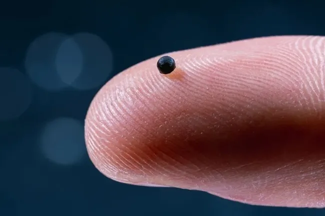 Микророботы проплывают по венам и растворяются после доставки лекарства