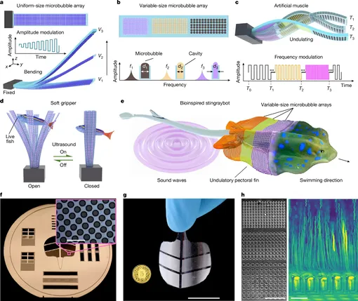 управление искусственными мышцами управление искусственными мышцами