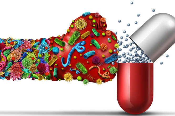 На смену антибиотикам: что такое антивитамины и как они работают