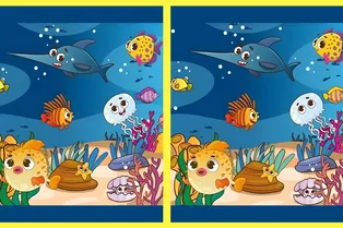 Подводные сцены: найдите три отличия между картинками за 15 секунд Подводные сцены: найдите три отличия между картинками за 15 секунд