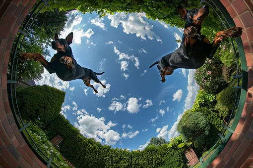 мультивселенная