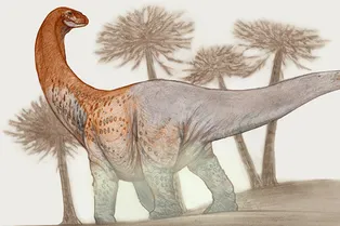 Огромный динозавр из Аргентины настолько велик, что его окаменелости сломали дорогу во время транспортировки Огромный динозавр из Аргентины настолько велик, что его окаменелости сломали дорогу во время транспортировки